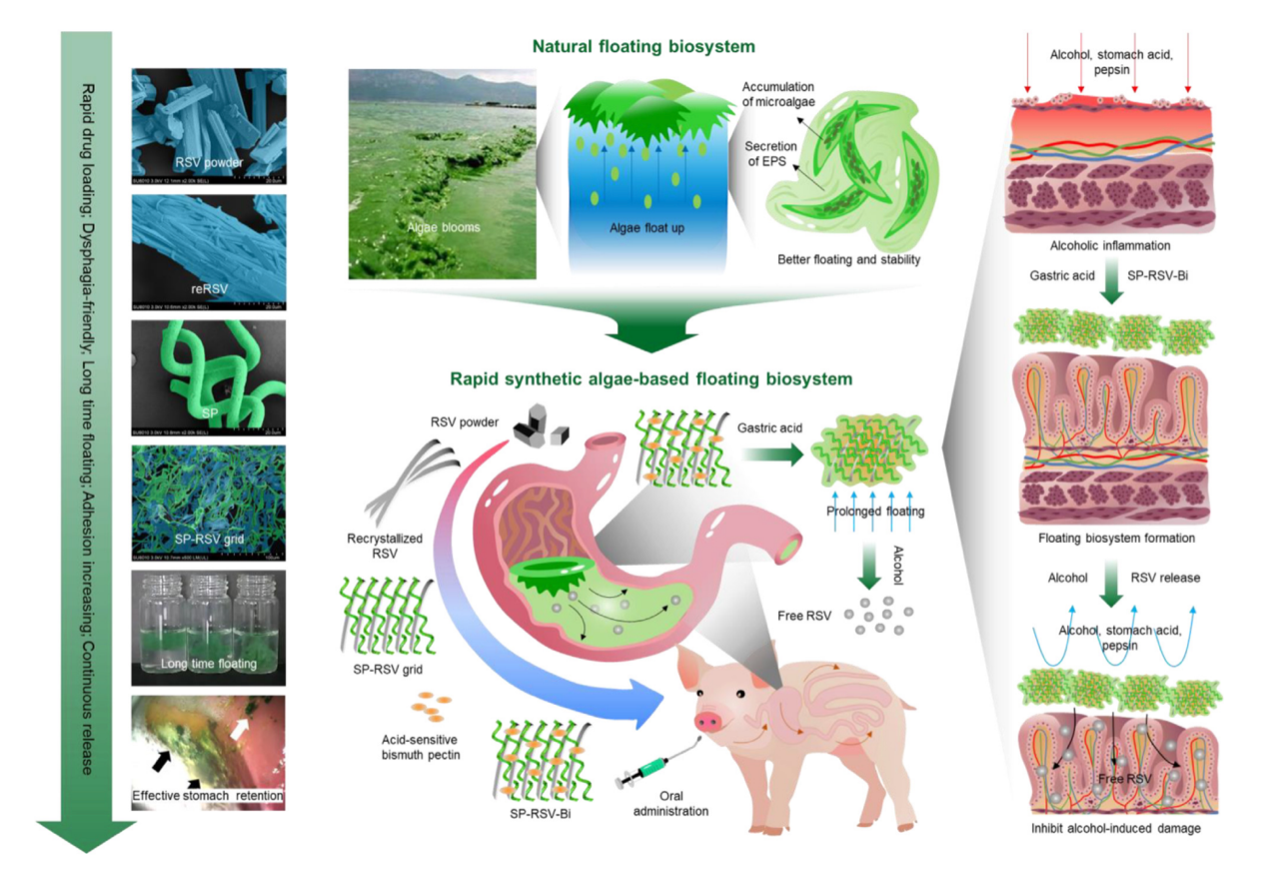 Prof. Min Zhou’s Group Published a Collaborative Research Article in Matter