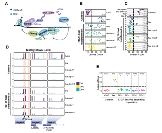 Dr.Wanlu Liu published an article in Nature Communications