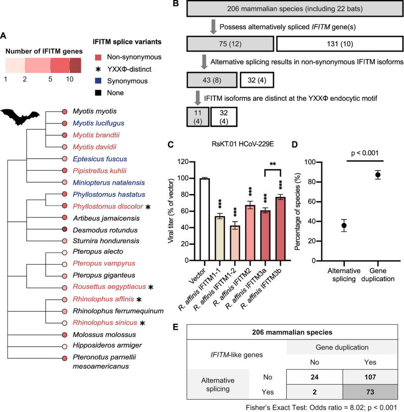 Irving's laboratory published a research article in PLOS Pathogens