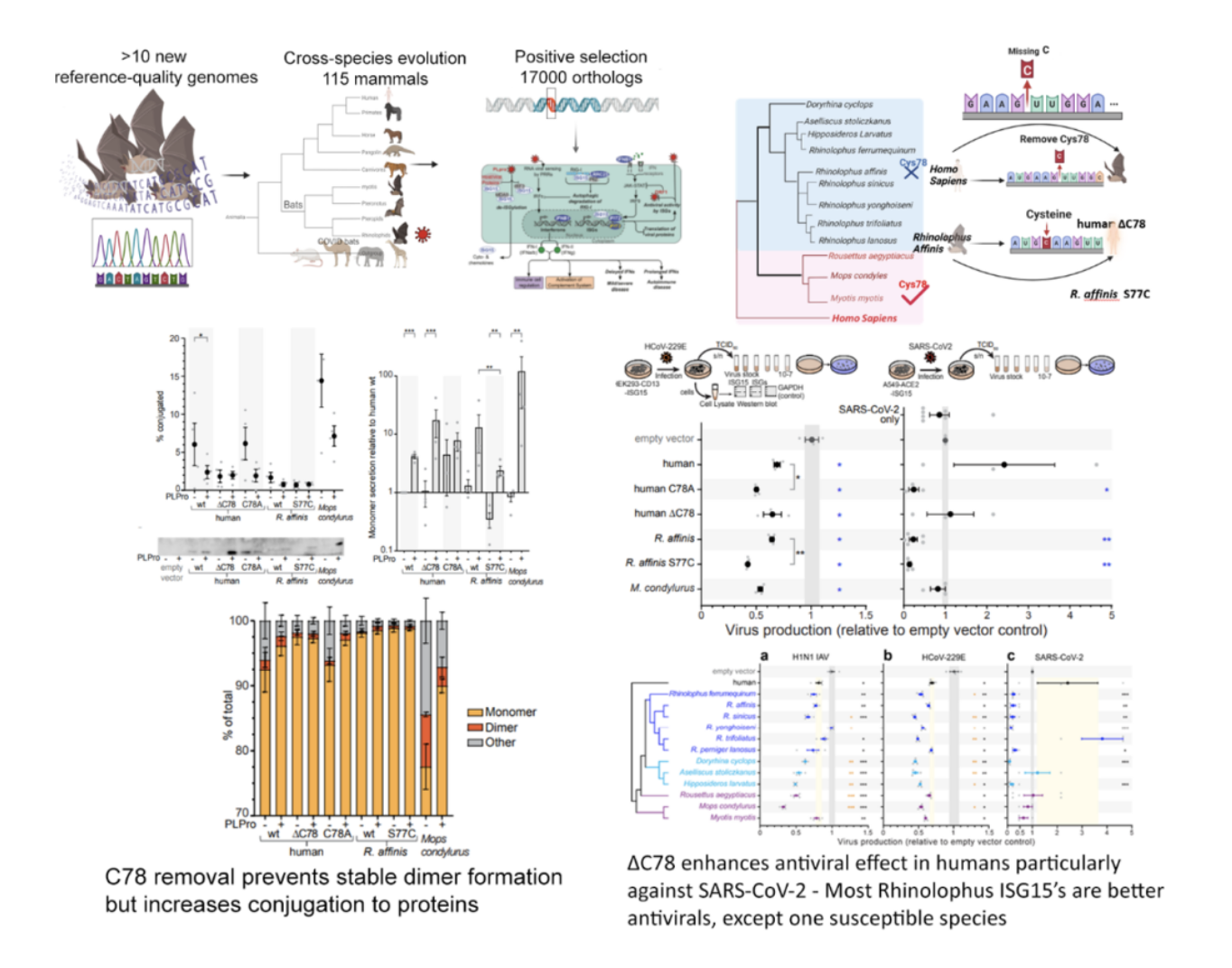 Irving's laboratory published a research article in Nature