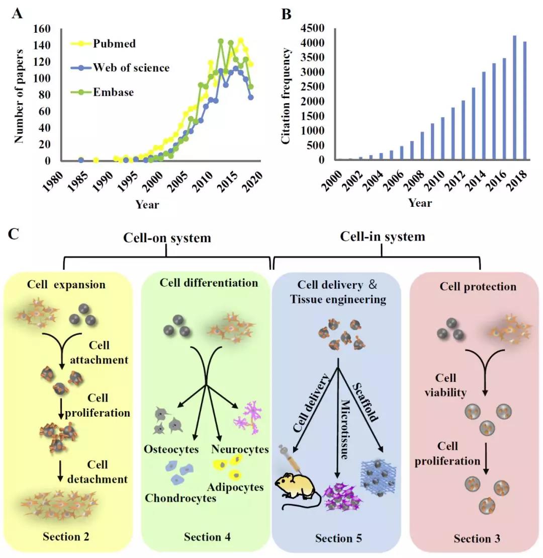 Prof. Hongwei Ouyang's team published a review  paper in Biotechnology Advances