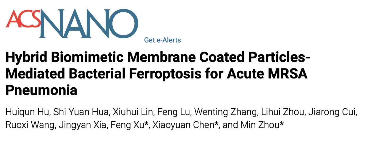 我院周民课题组于ACS Nano上发表超声激发微球介导细菌铁死亡治疗MRSA肺炎的研究成果