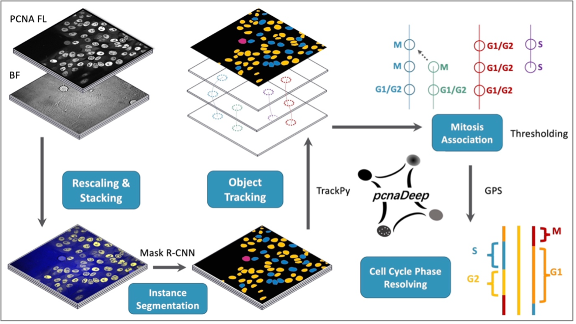 Kuan Yoow Chan's lab published an article in Bioinformatics