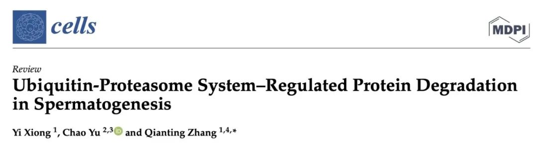 我院张倩婷课题组在Cells发表综述文章 一作为ZJE本科生