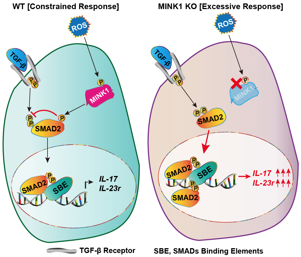 ZJE Research Published by JEM