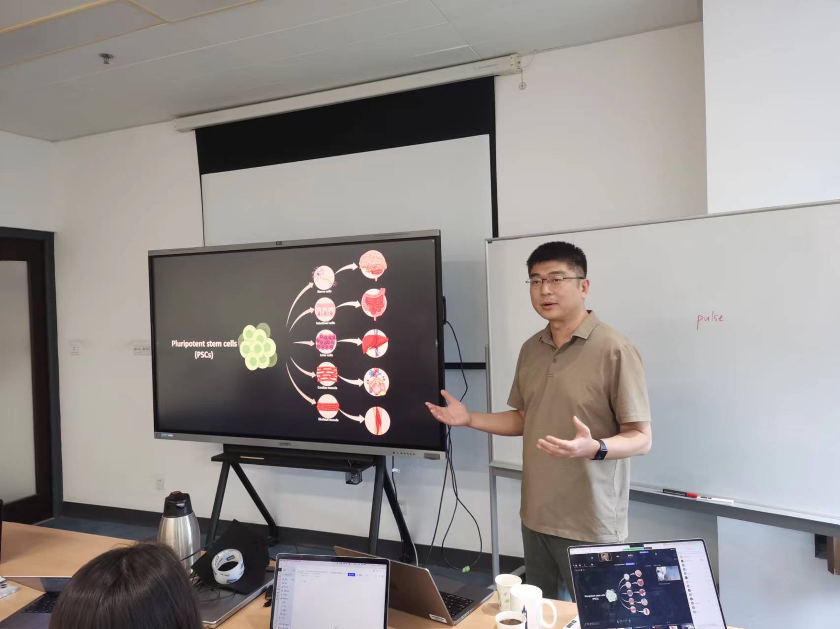 【Biomed-X Seminar第116期】吴军教授分享异种器官形成的挑战与策略