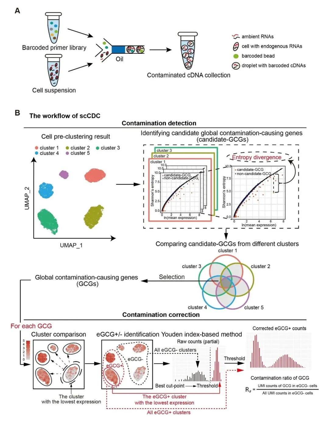 我院王超尘研究员带领本科生在Genome Biology发表《scCDC:单细胞RNA测序污染修正的新方法》